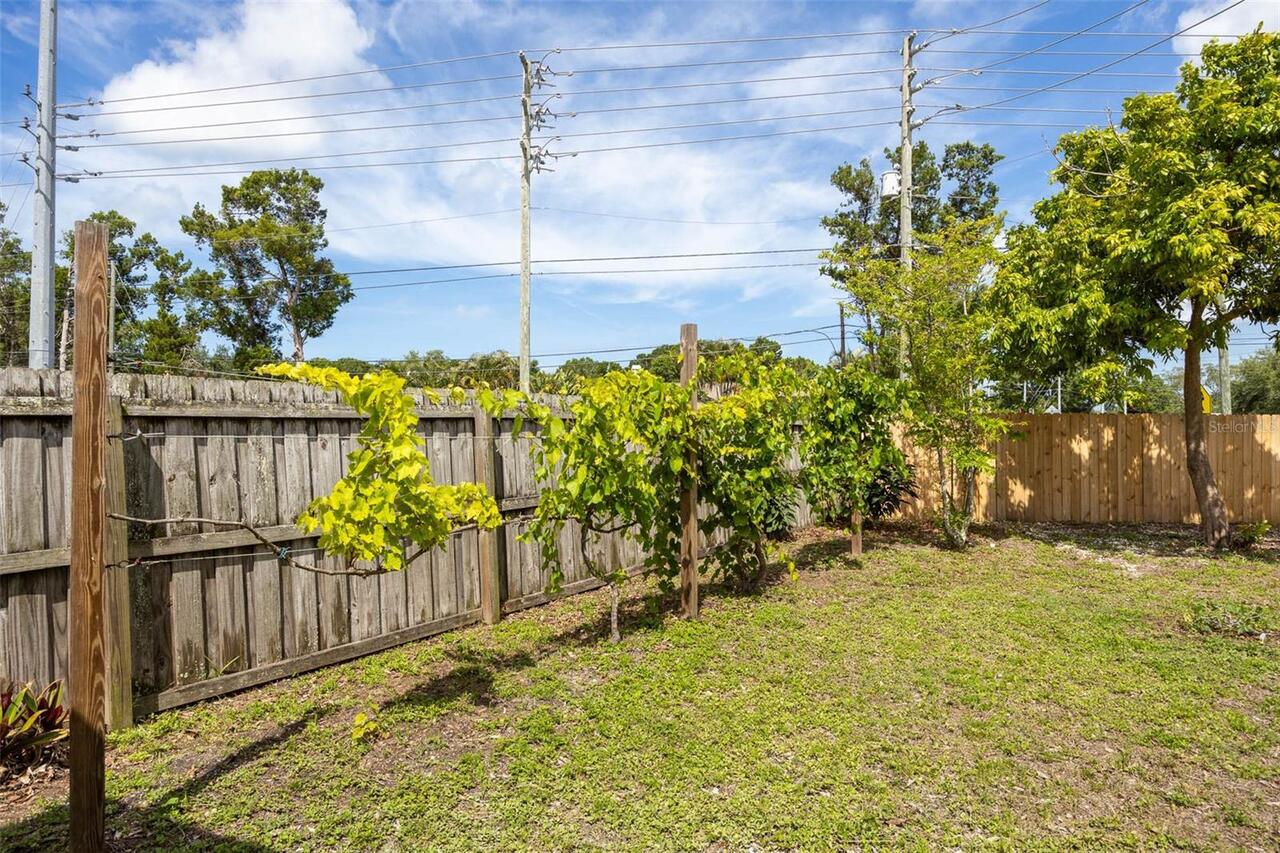 Listing Photo 47