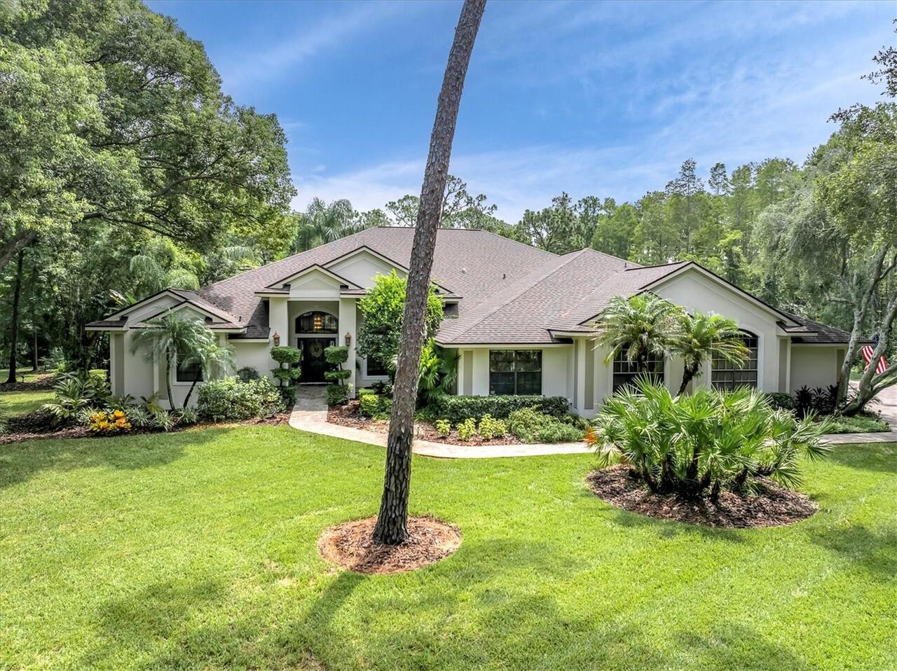New Port Richey Real Estate