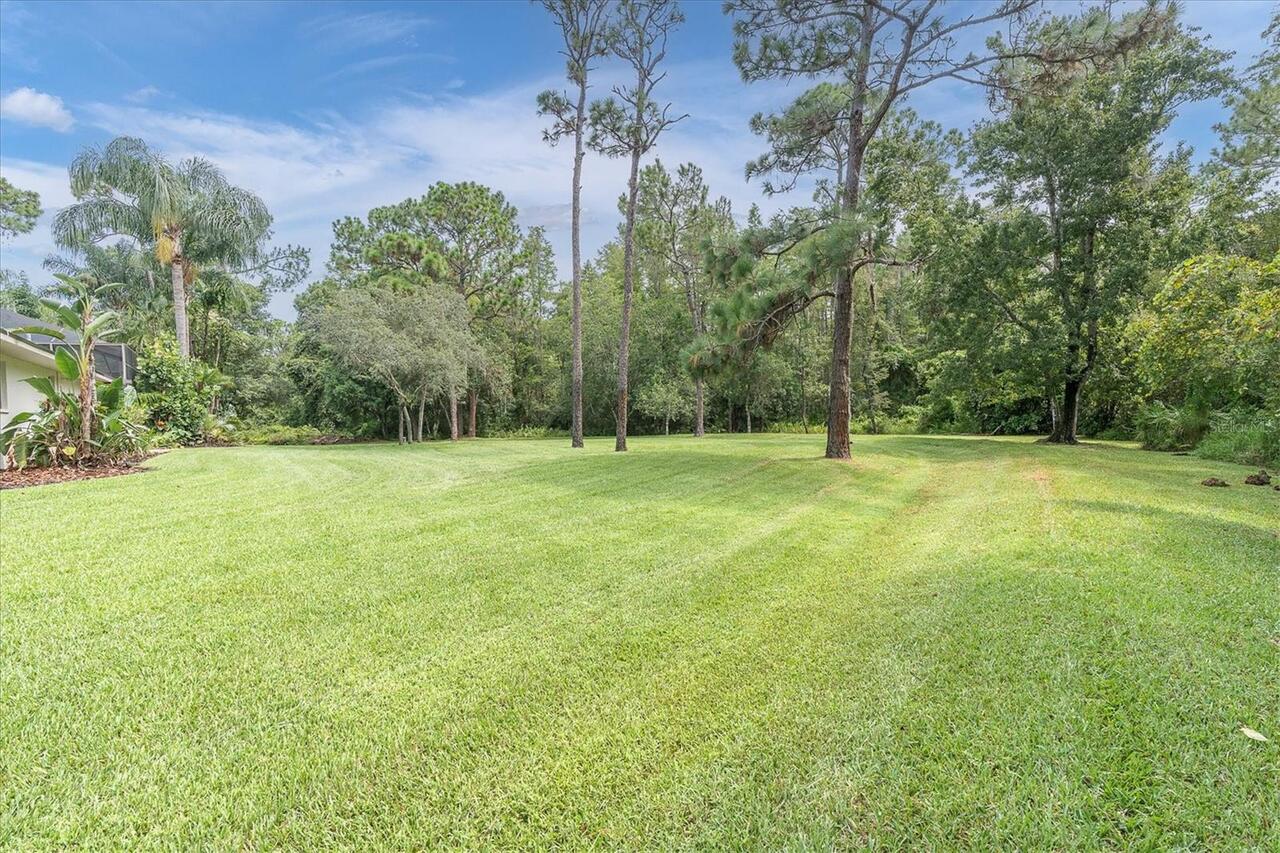 Listing Photo 74