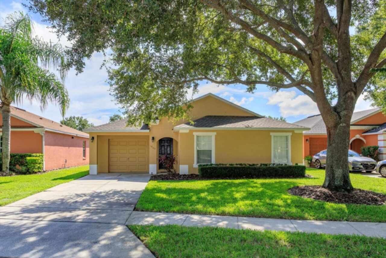View Listing