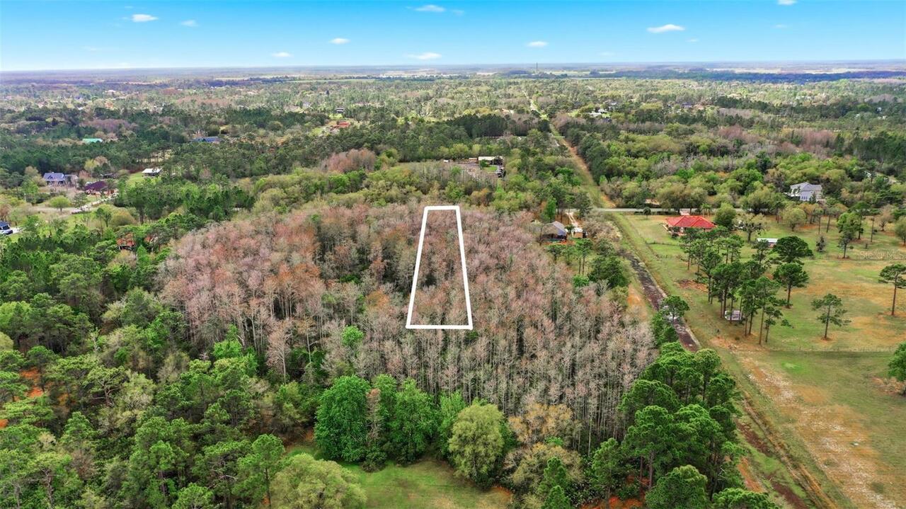 Listing Photo 10