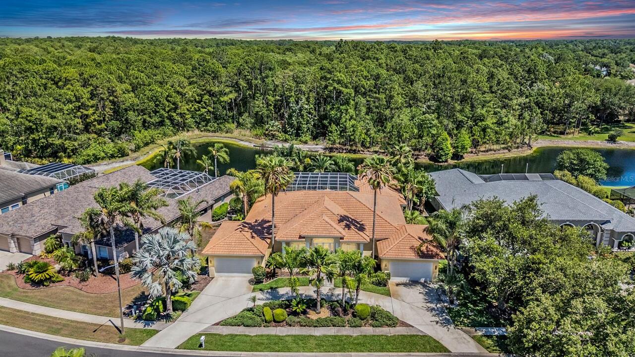 Palm Harbor Real Estate