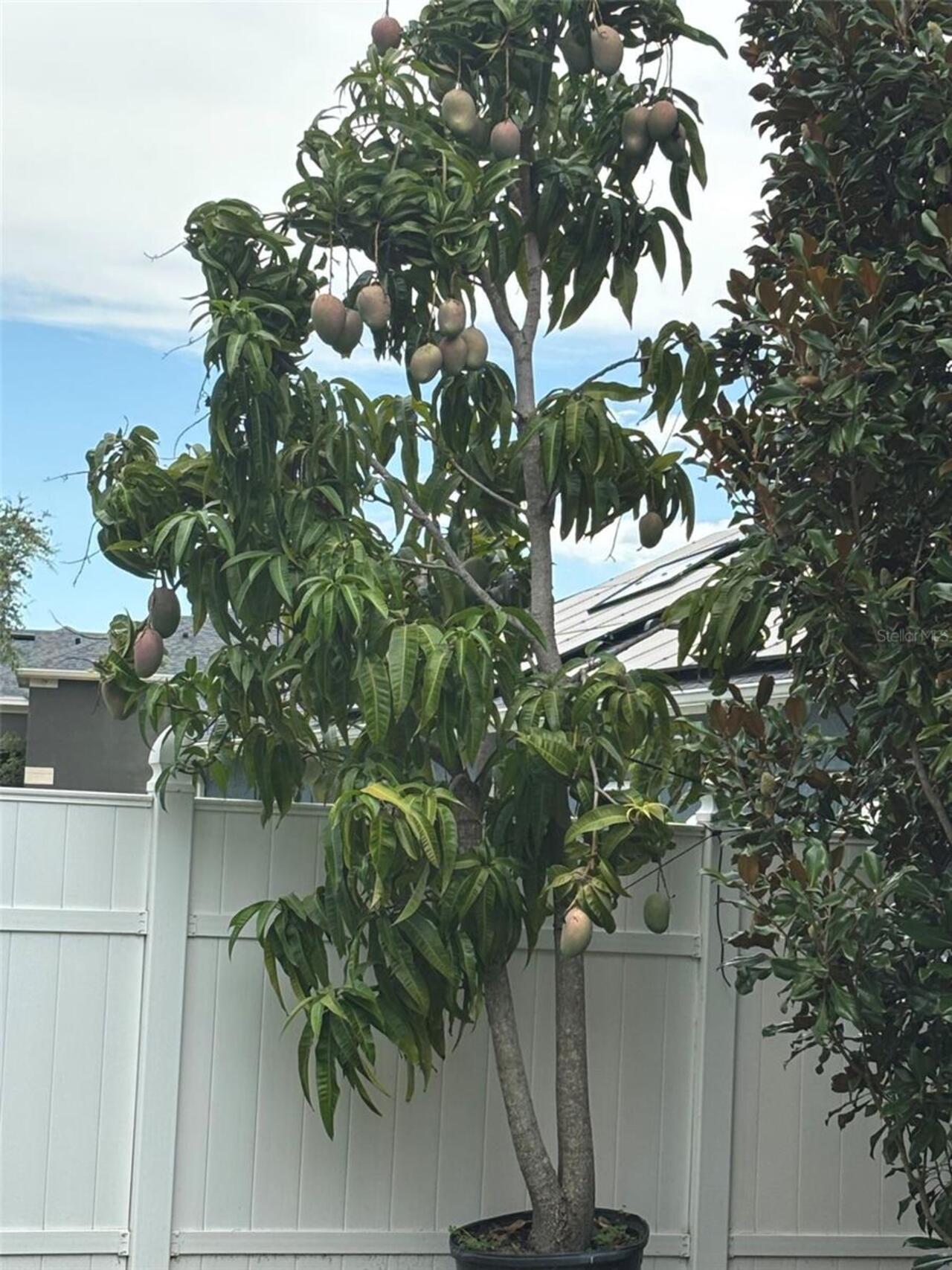 Listing Photo 17