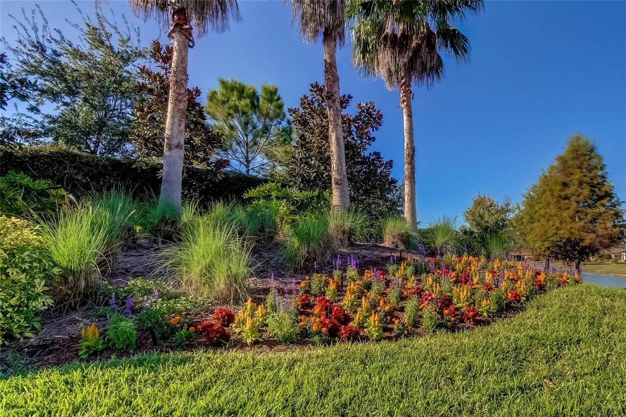 Listing Photo 55
