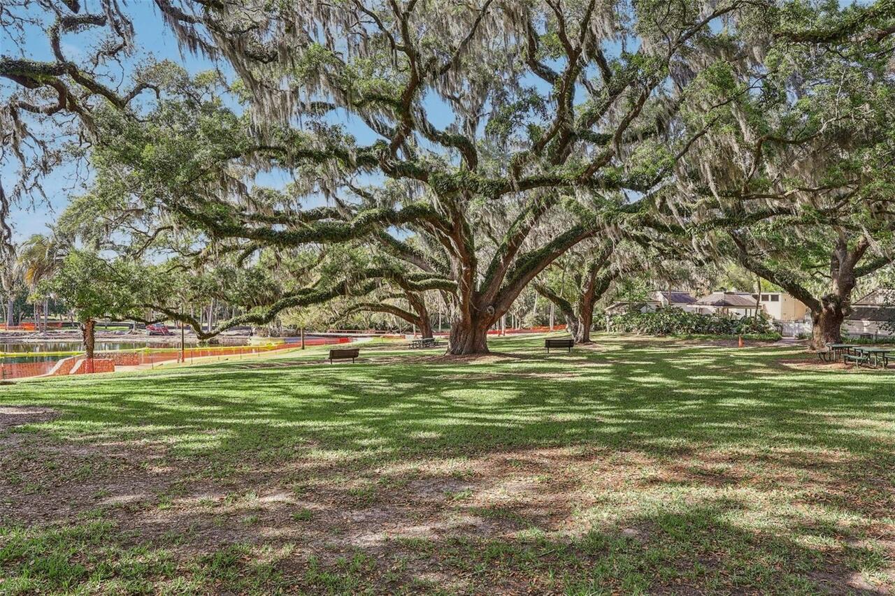Listing Photo 31