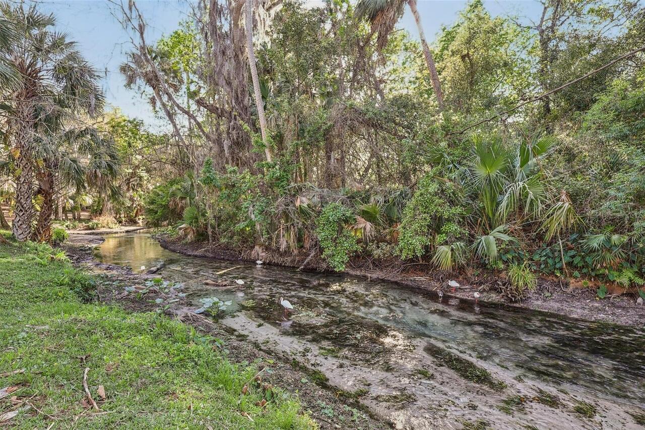 Listing Photo 38