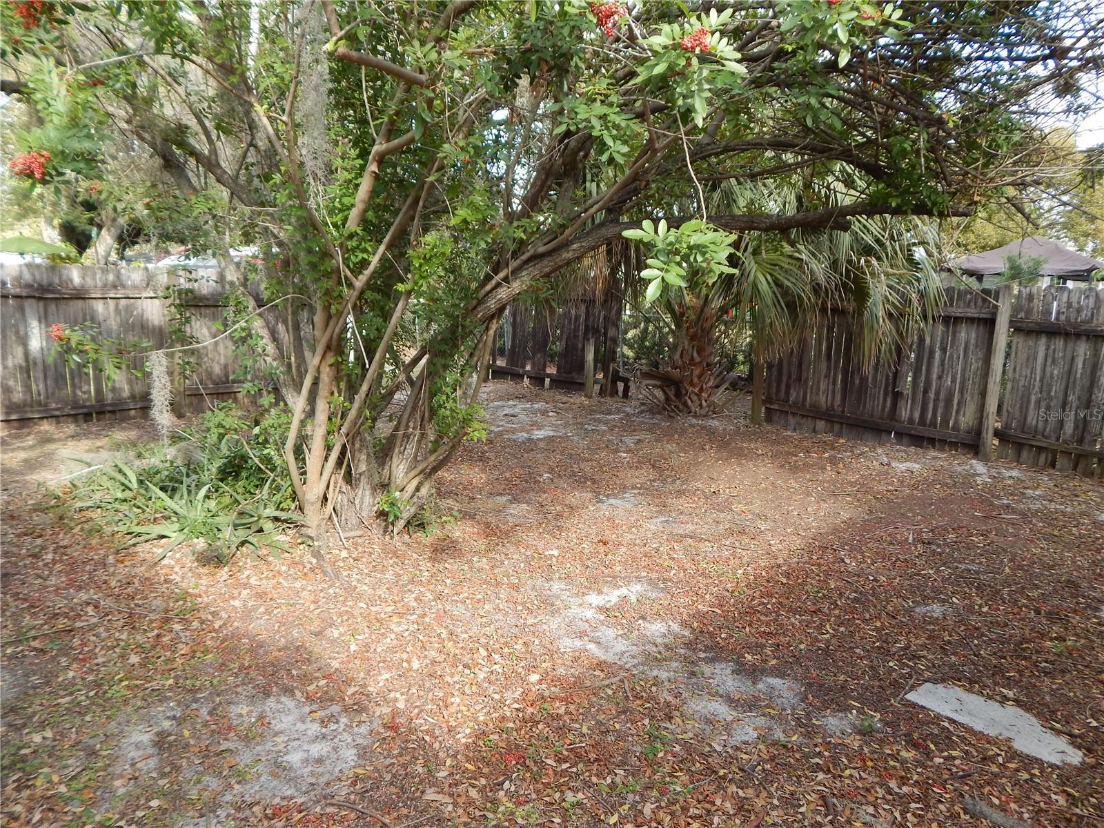 Listing Photo 24