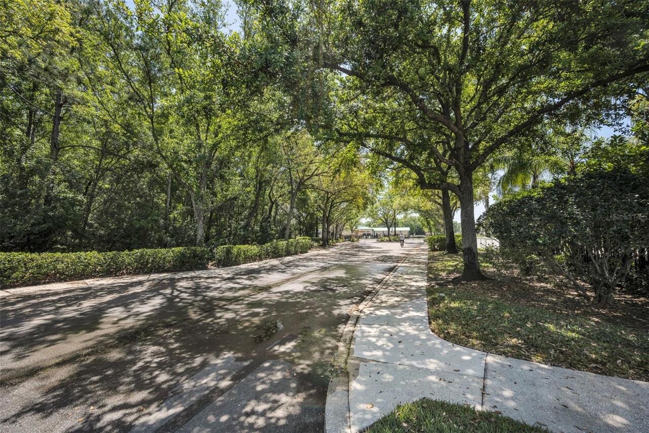 Listing Photo 33