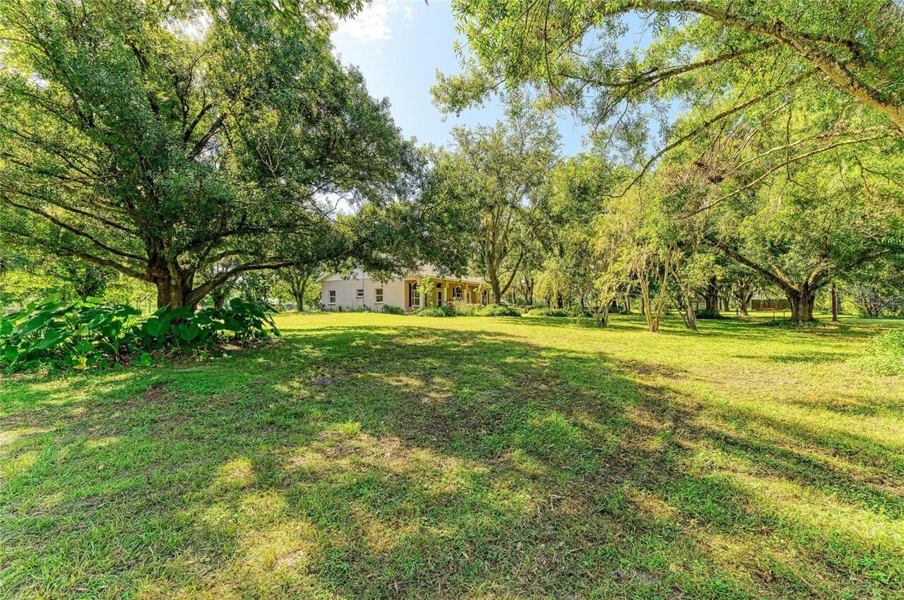 Listing Photo 9