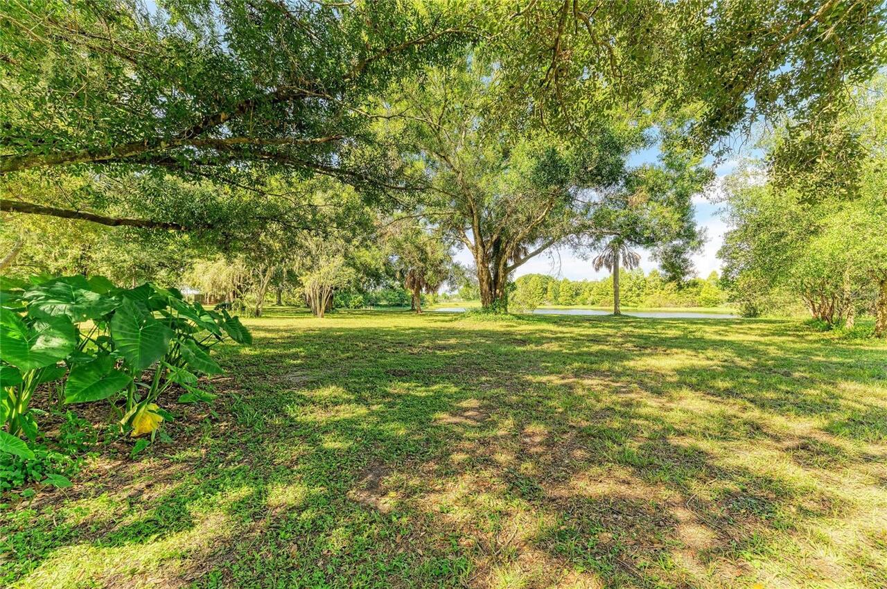 Listing Photo 53