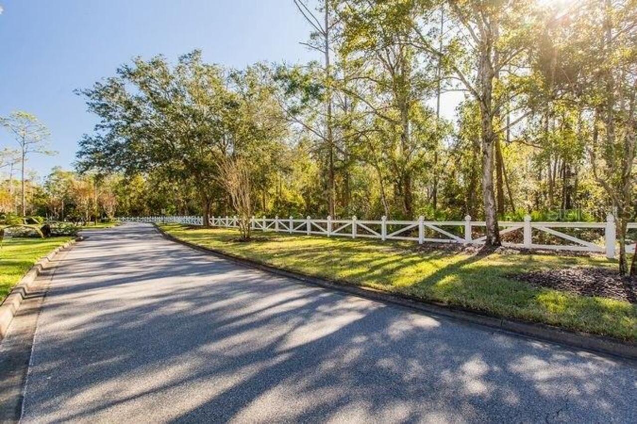 Listing Photo 74