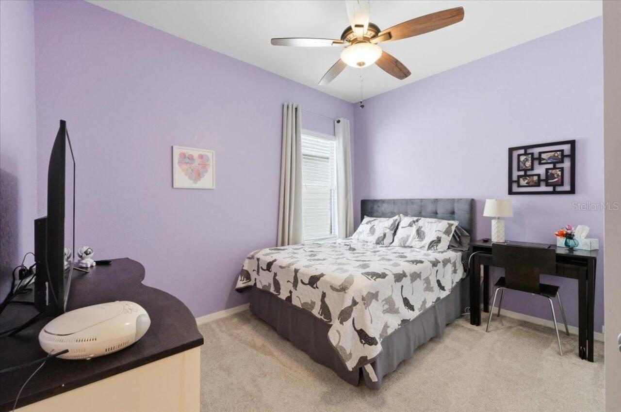Listing Photo 28