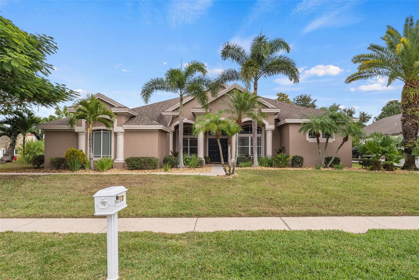 Palm Harbor Real Estate