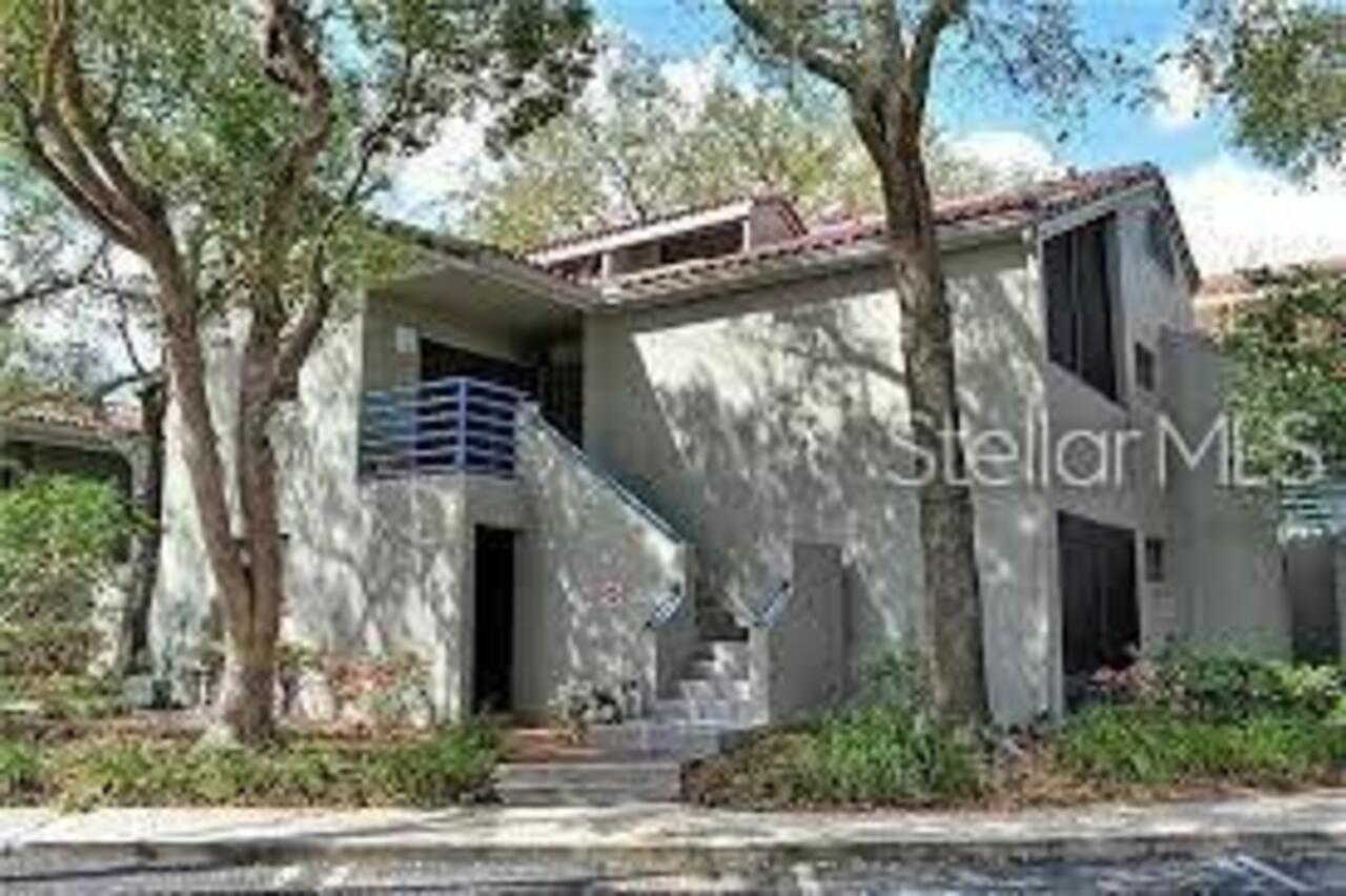 Maitland Real Estate