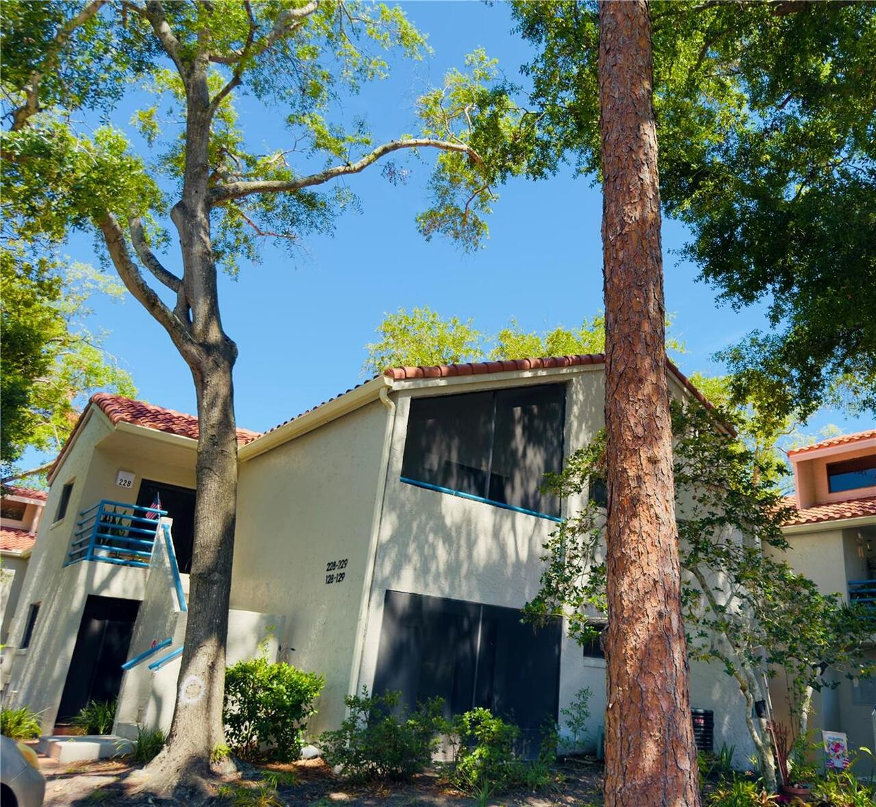 Maitland Real Estate