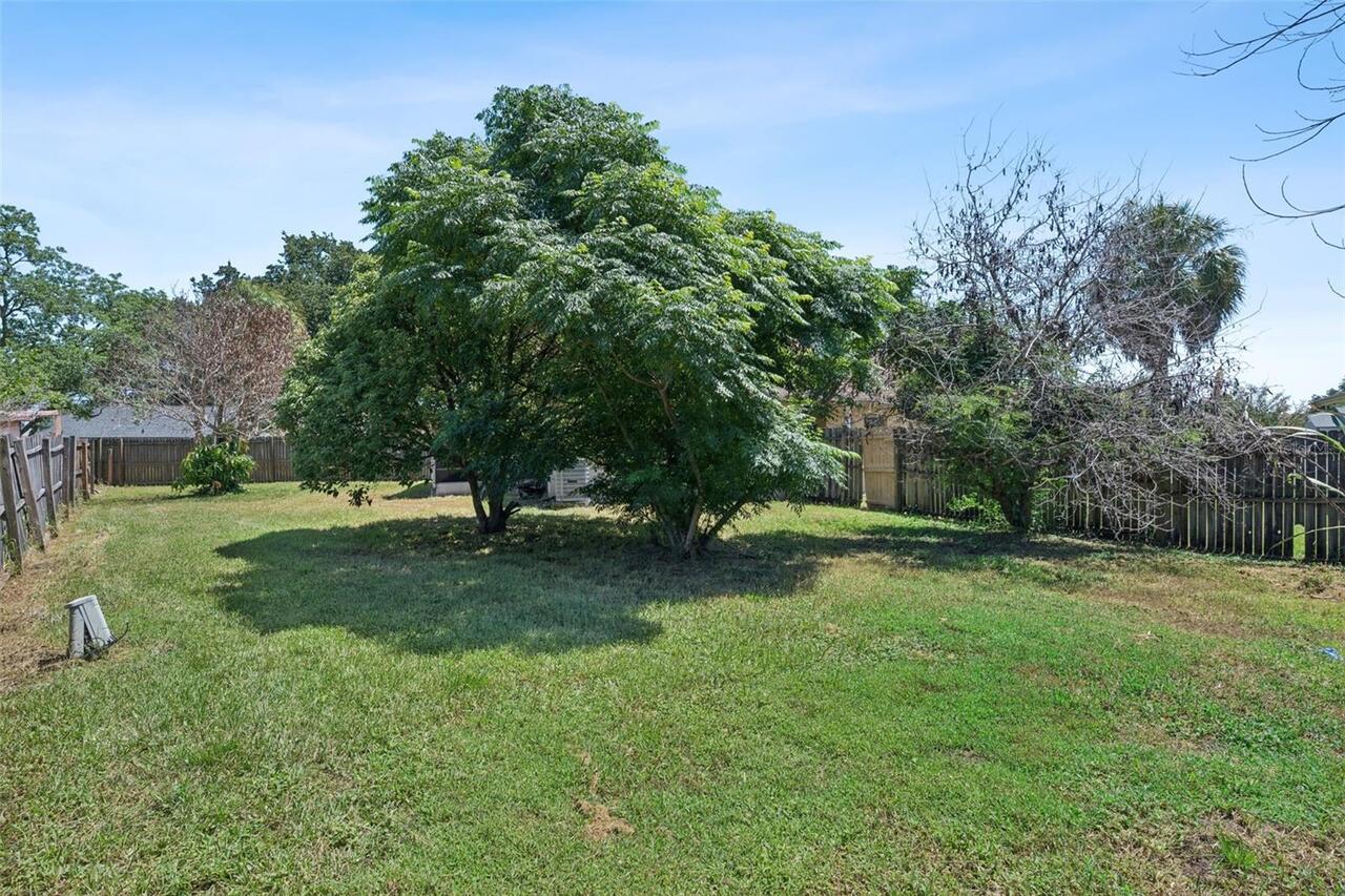 Listing Photo 21