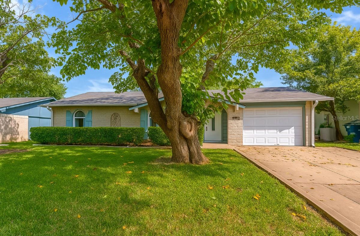 Orlando Real Estate