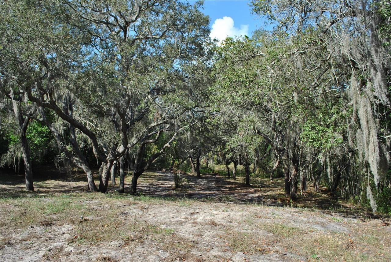 Listing Photo 29