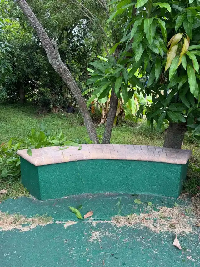 Listing Photo 19