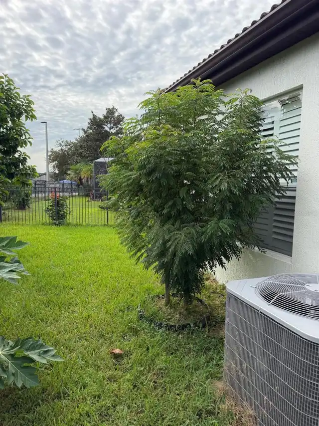 Listing Photo 22