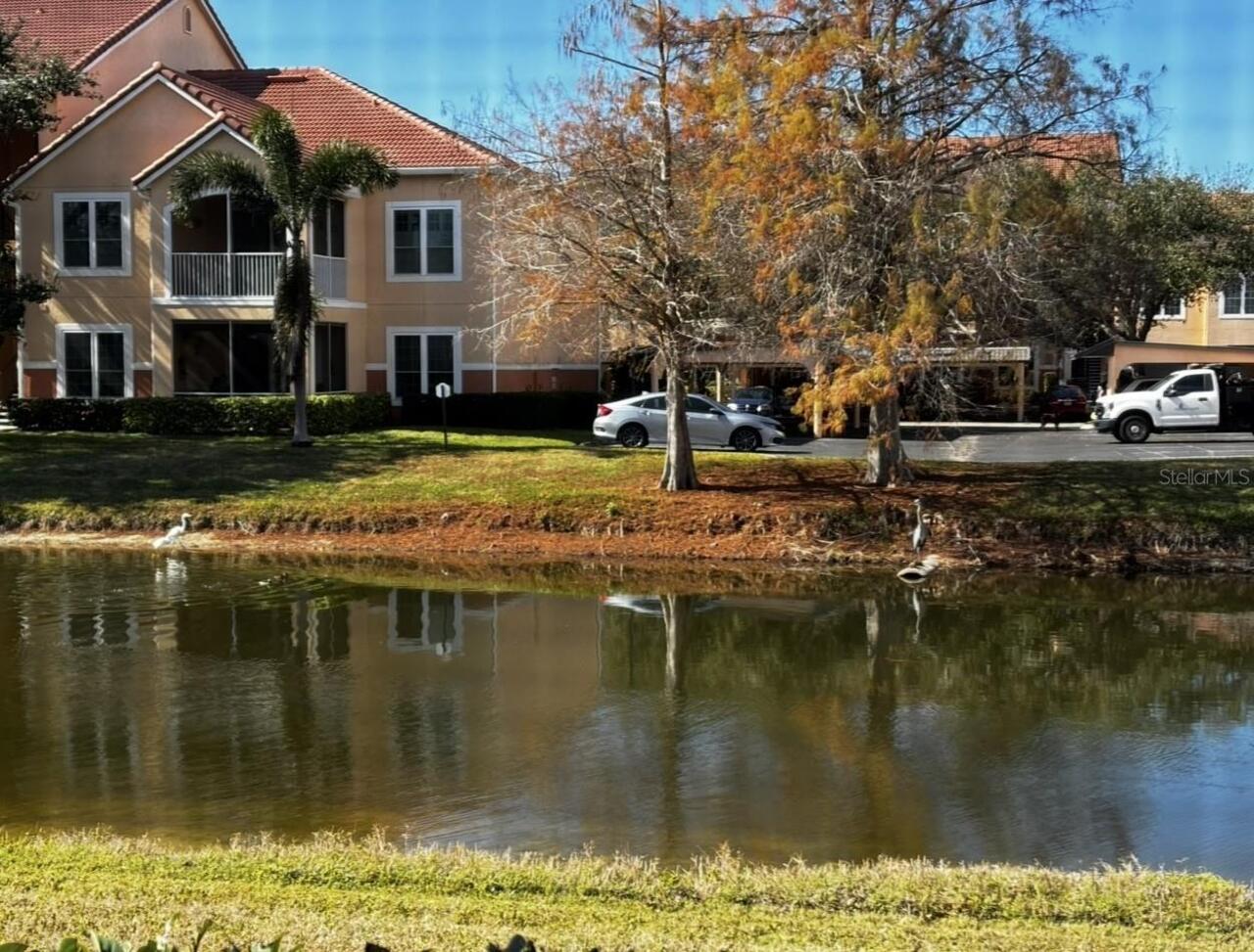 Listing Photo 61