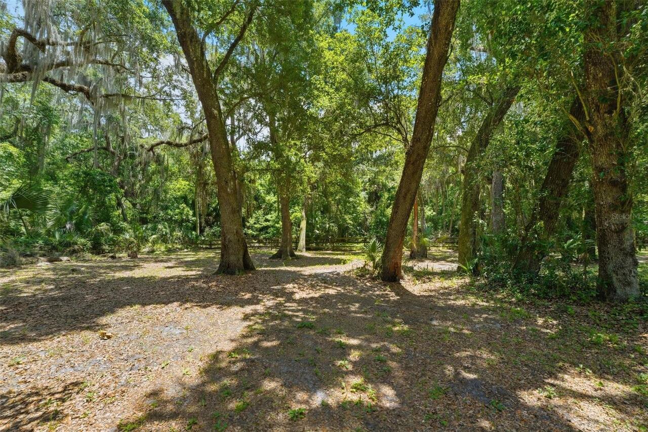 Listing Photo 44