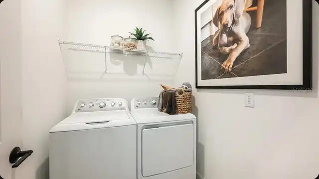 Listing Photo 18