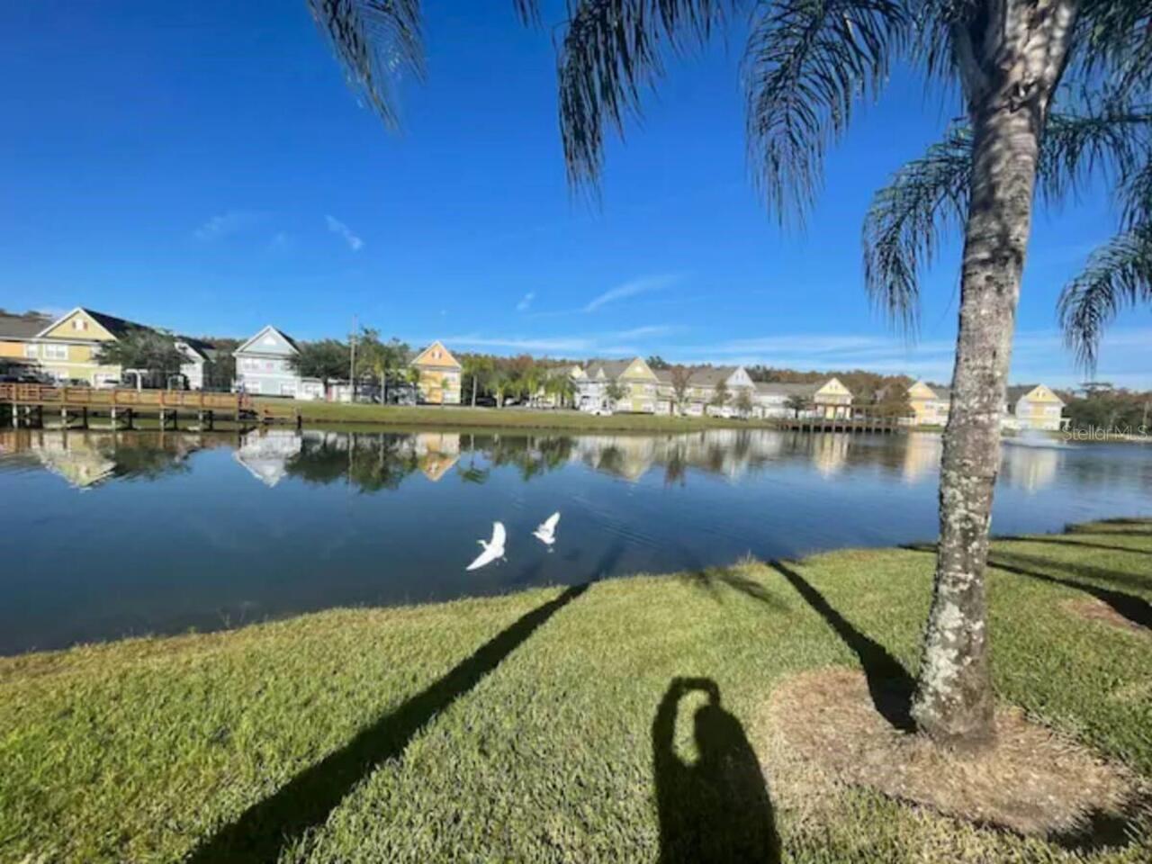 Listing Photo 41