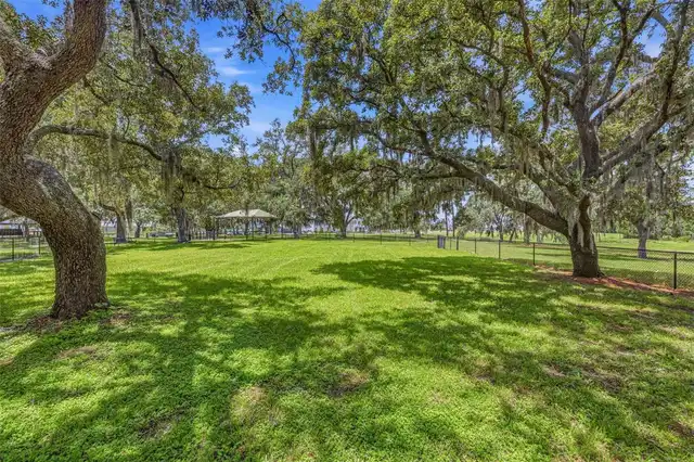 Listing Photo 54