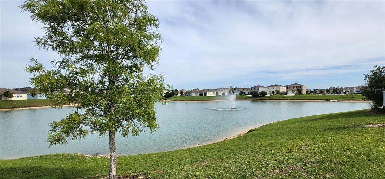 Listing Photo 67