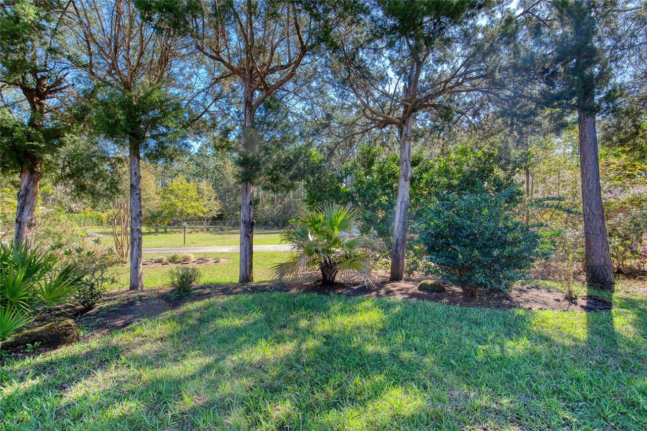 Listing Photo 48