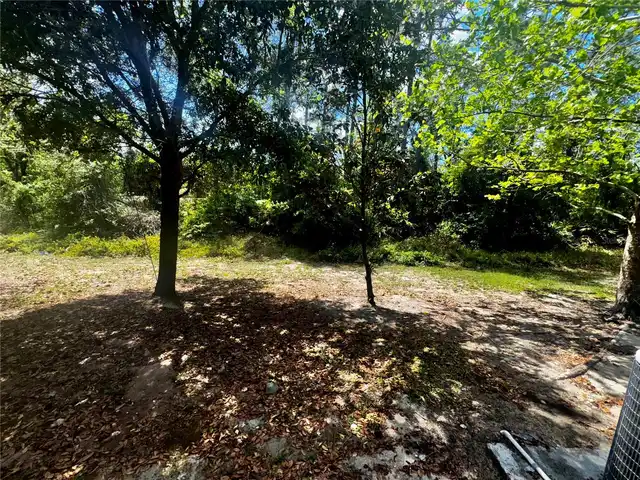 Listing Photo 17