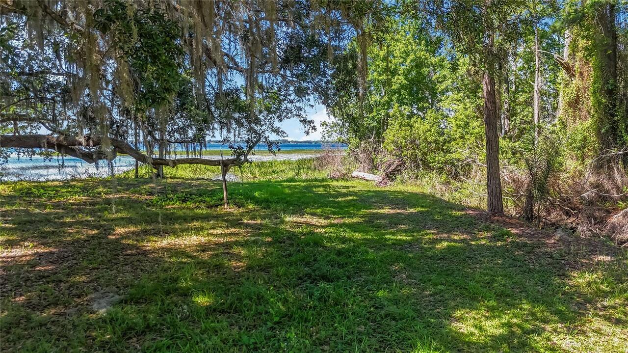 Listing Photo 64