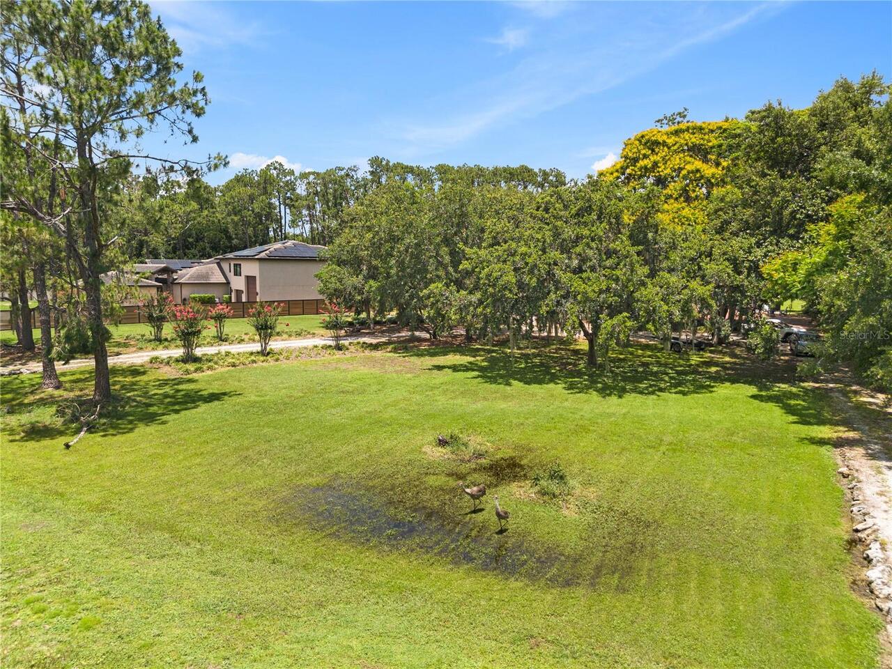 Listing Photo 11