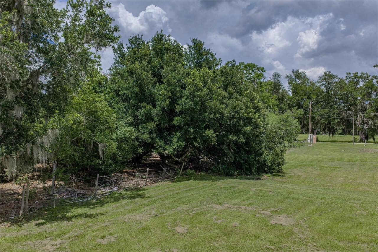 Listing Photo 27