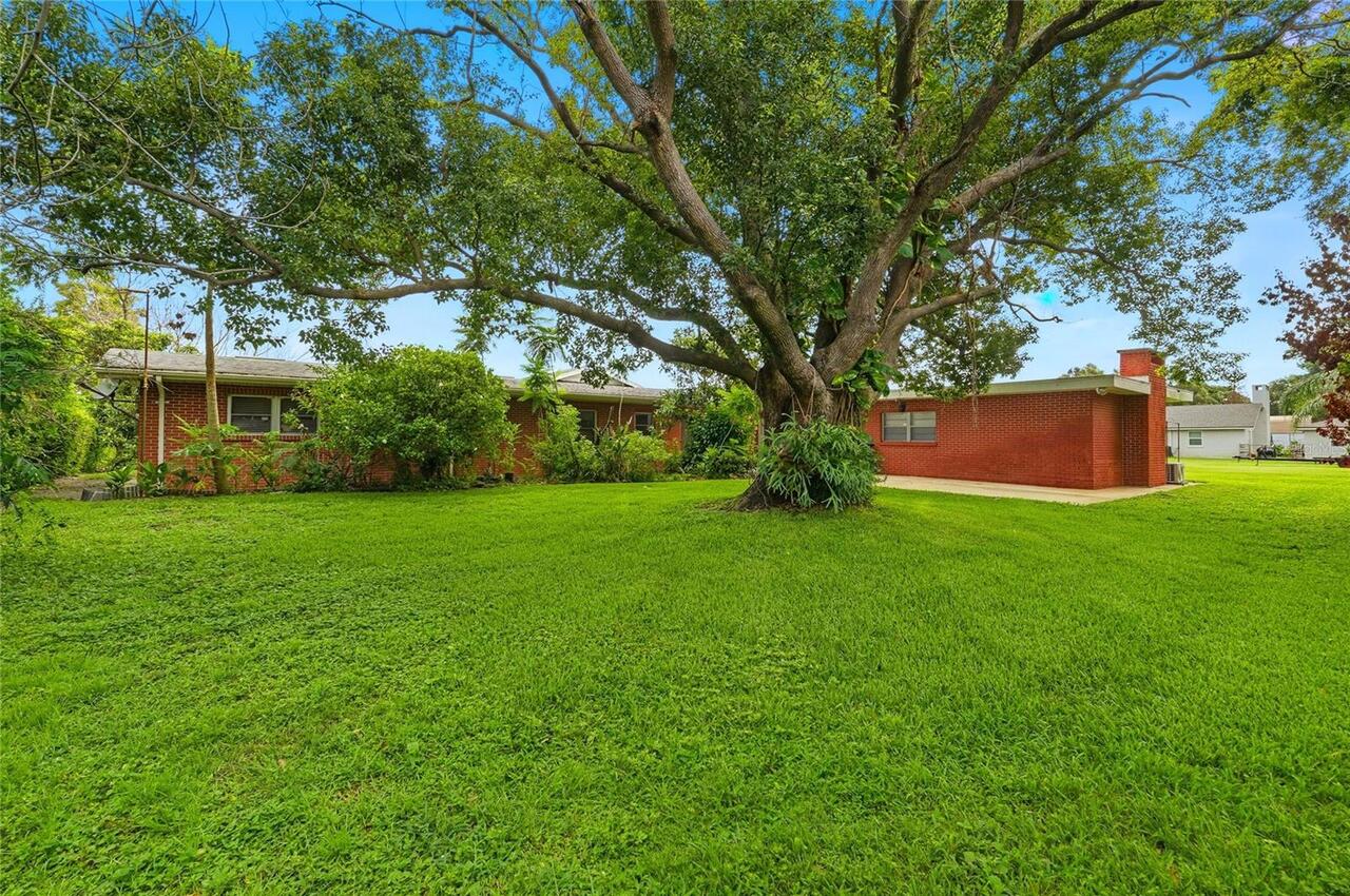 Listing Photo 54