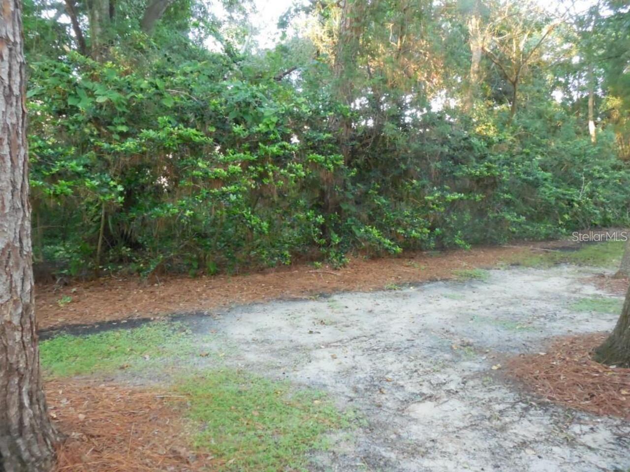 Listing Photo 18
