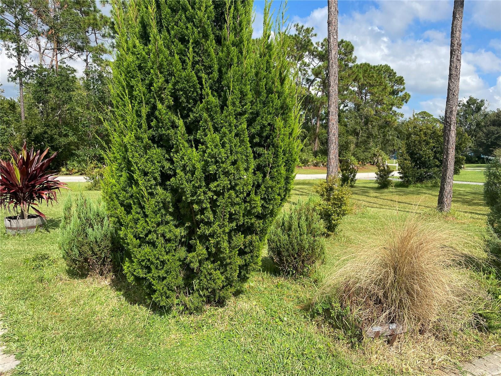 Listing Photo 54