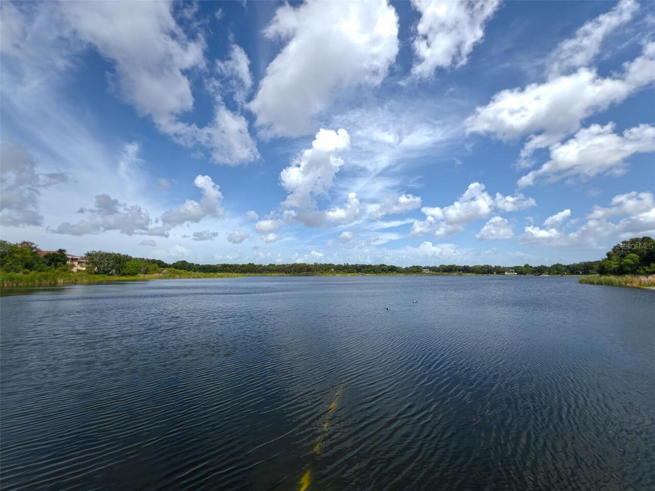 Listing Photo 38
