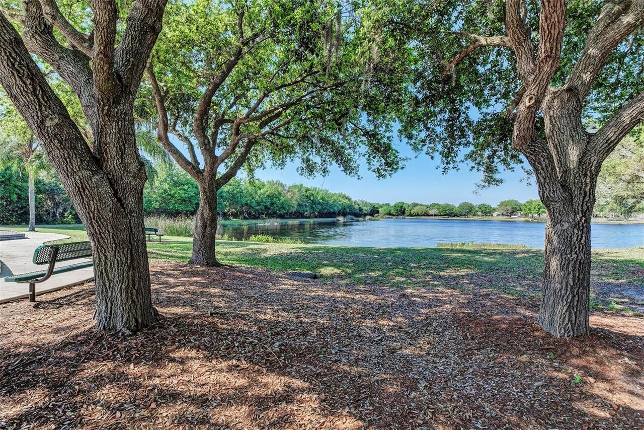 Listing Photo 84