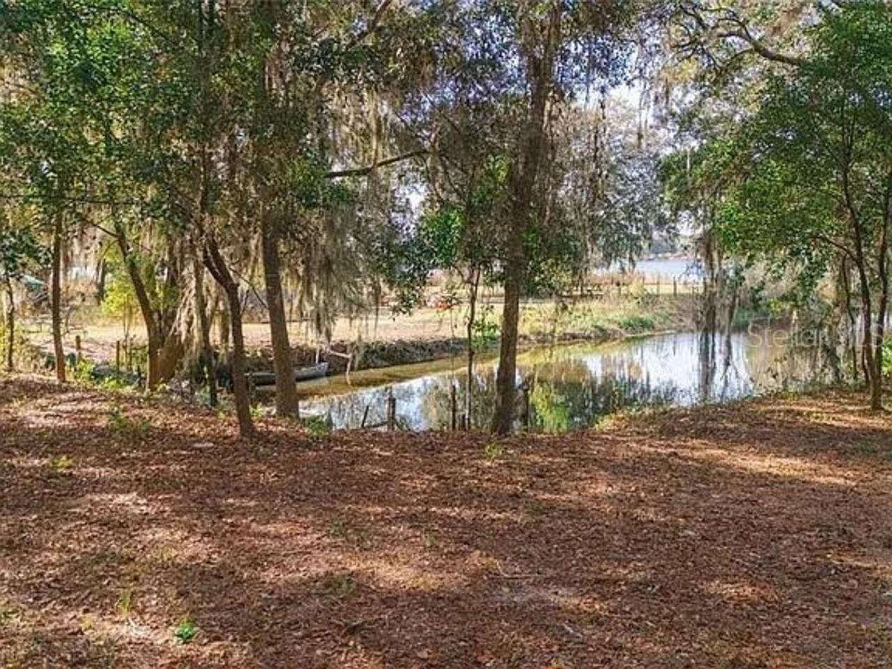 Listing Photo 7