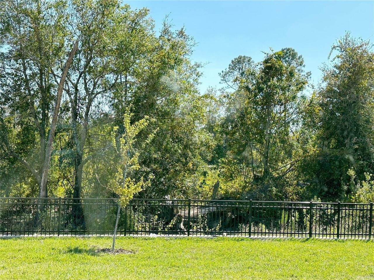 Listing Photo 57