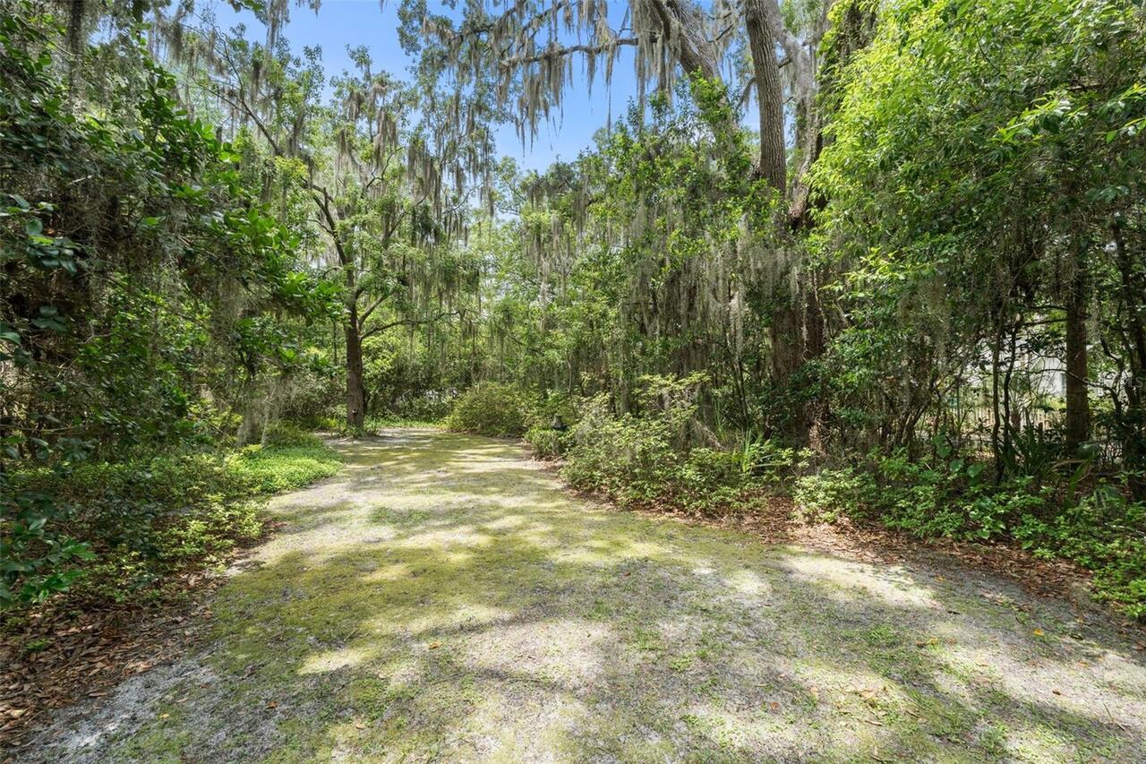 Listing Photo 31