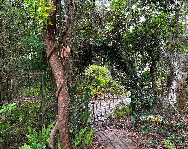 Listing Photo 46