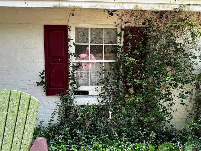 Listing Photo 52