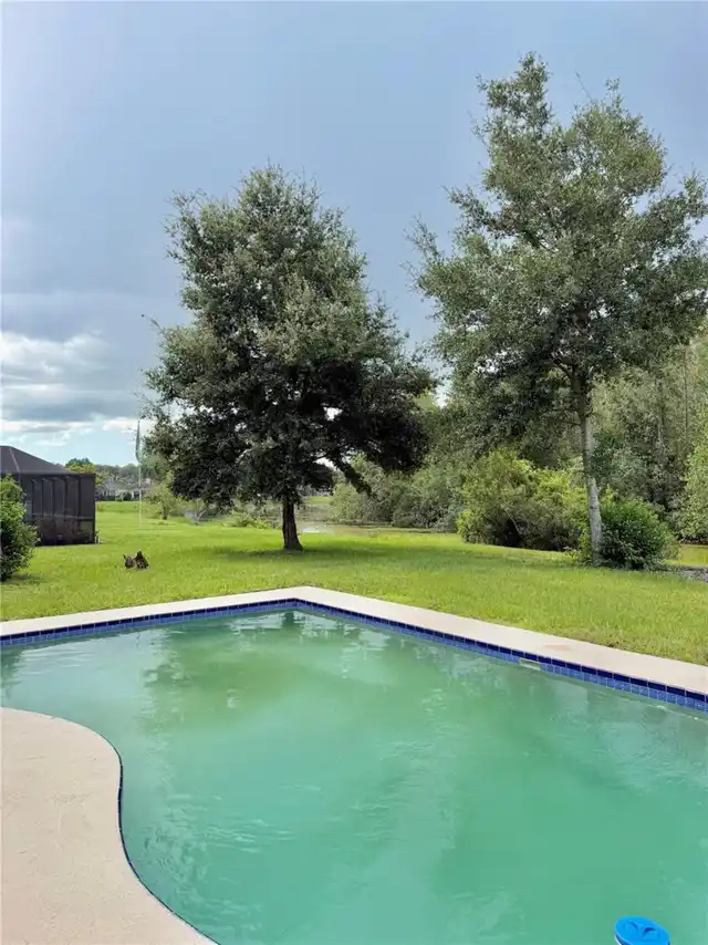 Listing Photo 33