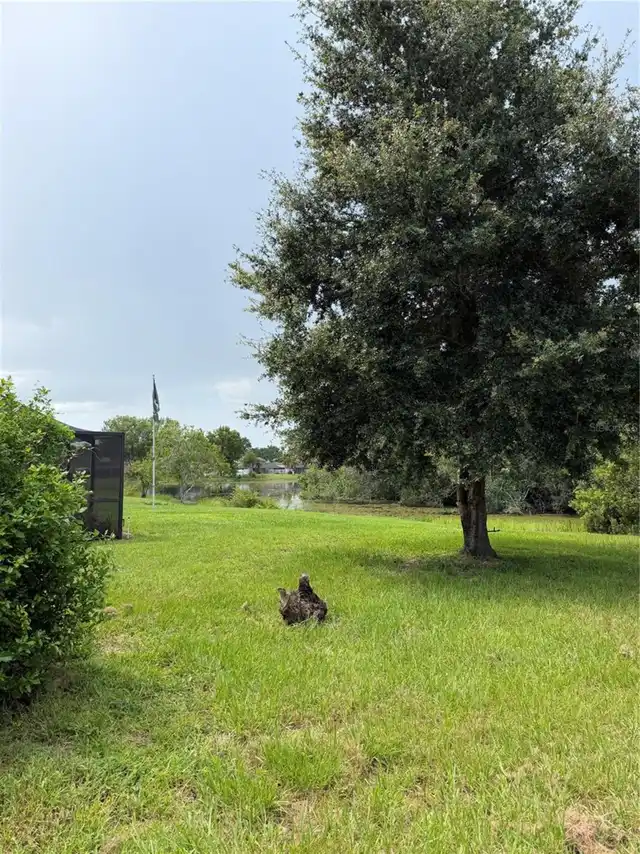 Listing Photo 34