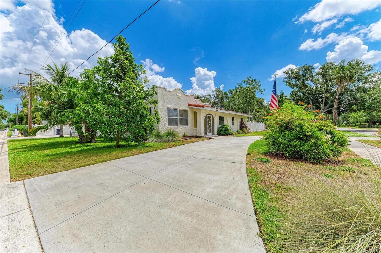 Palmetto Real Estate