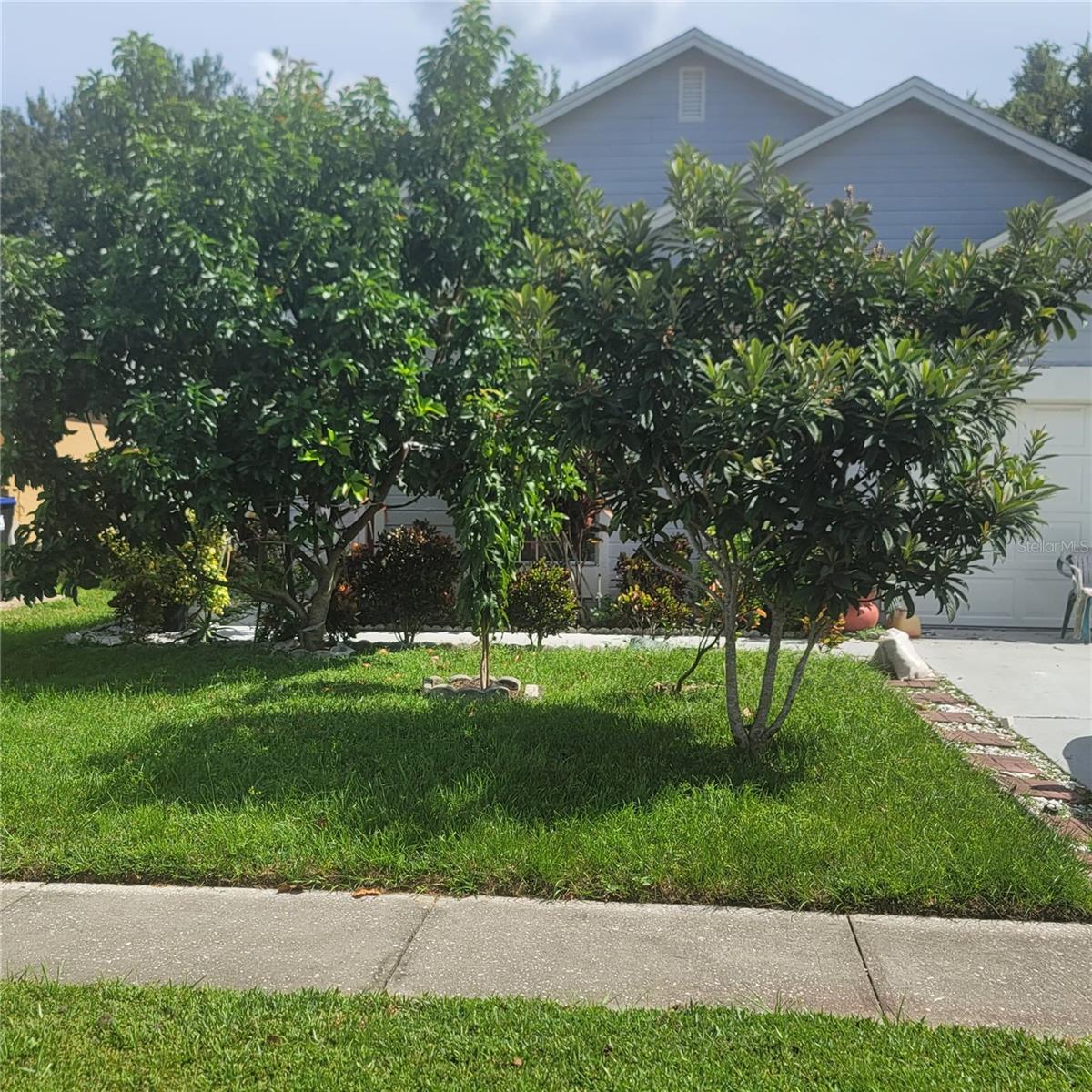 Orlando Real Estate