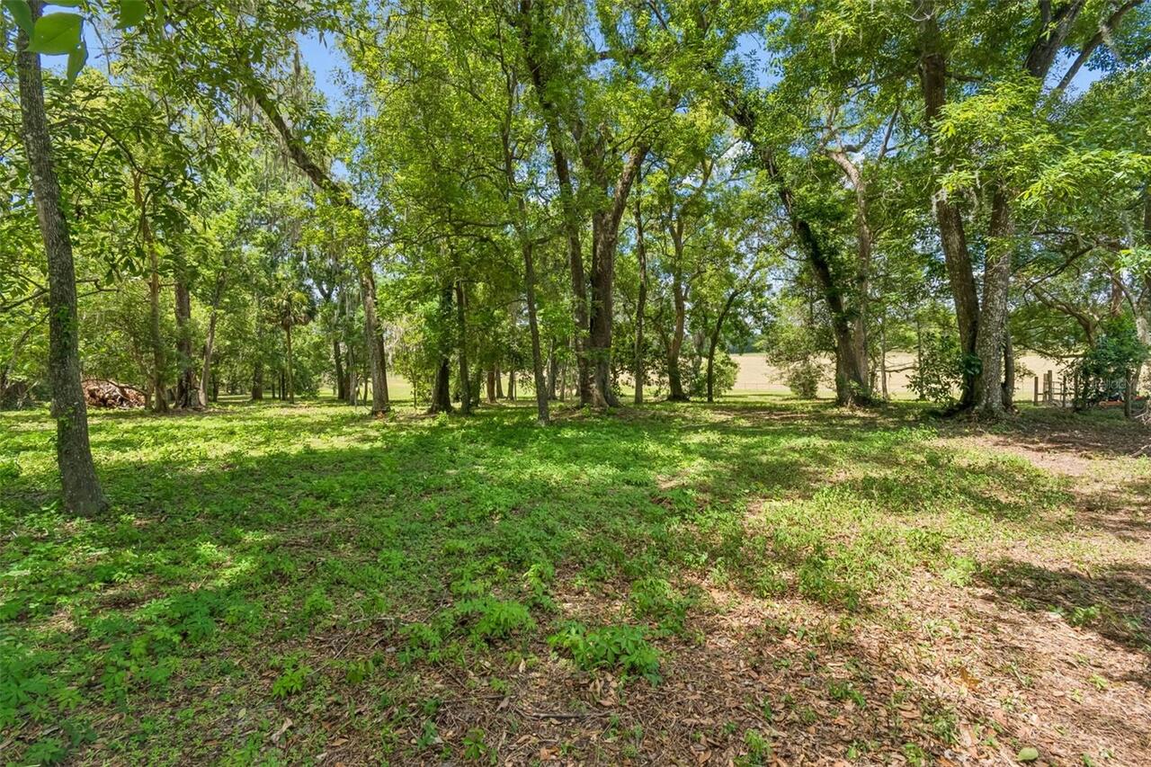 Listing Photo 55